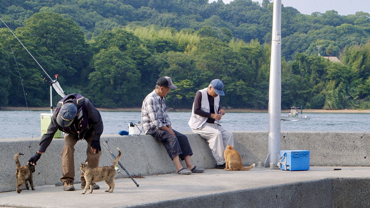 Fotografija iz filma The Cats of Gokogu Shrine